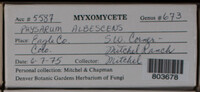Image Associated With the Occurence